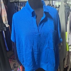 Banana Republic Vibrant Blue Button Down Shirt